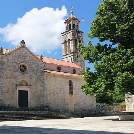 فيلة Vanilla By Guide *