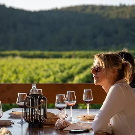 فيلة Vanilla By Guide بريسبا